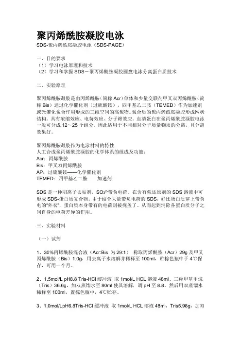 聚丙烯酰胺凝胶电泳实验