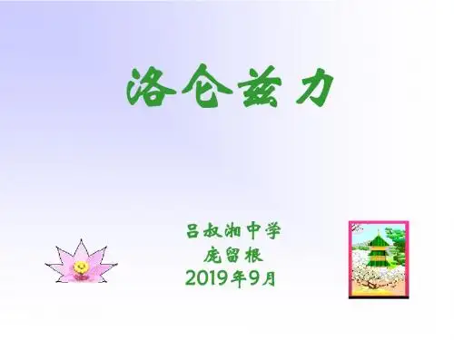 洛仑兹力-PPT精品