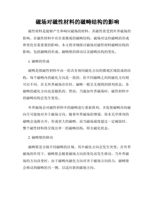 磁场对磁性材料的磁畴结构的影响