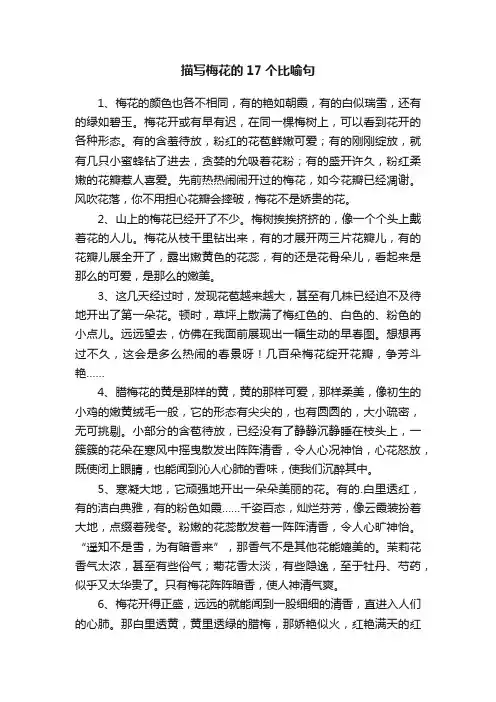 描写梅花的17个比喻句