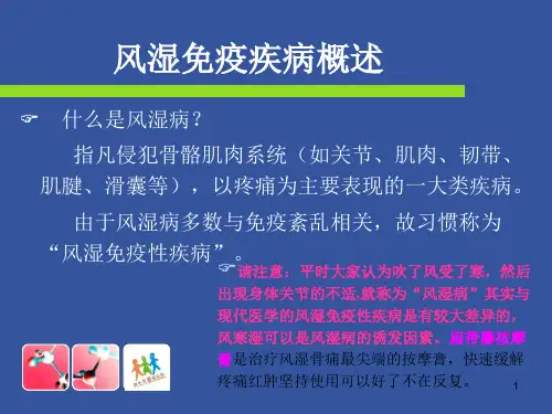 风湿免疫疾病概述 PPT课件