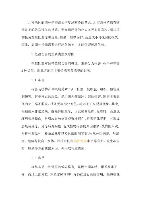 北方花园植物过冬如何防护？