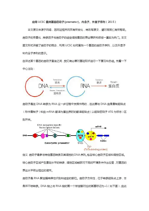 使用UCSC查找基因启动子区域方法