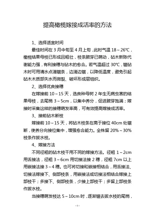 提高橄榄嫁接成活率的方法