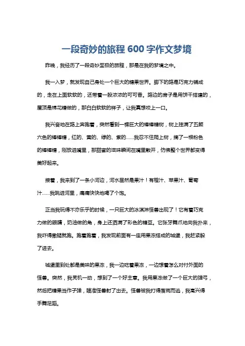 一段奇妙的旅程600字作文梦境