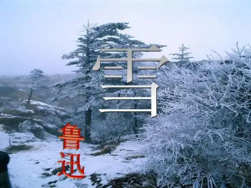 《雪》课件