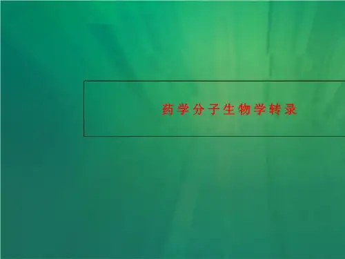 药学分子生物学转录