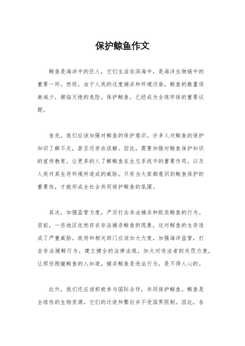 保护鲸鱼作文