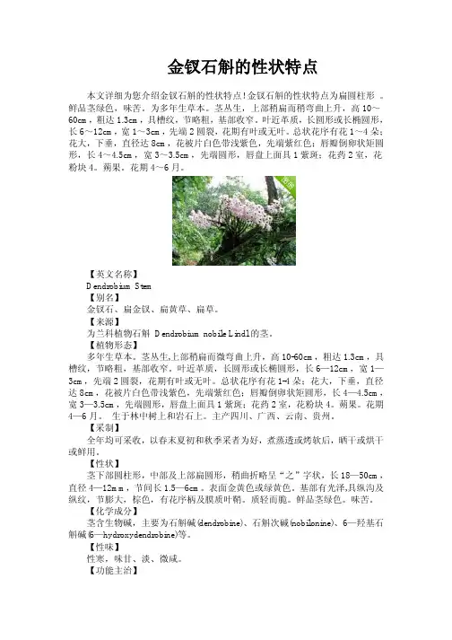 金钗石斛的性状特点