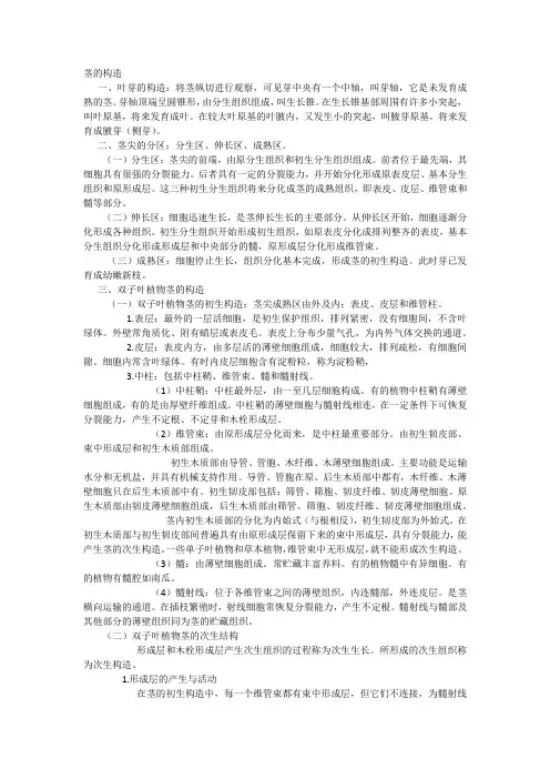 茎的构造