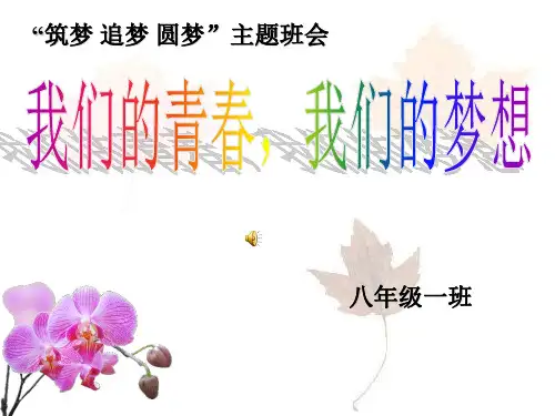 我们的青春,我们的梦想主题班会