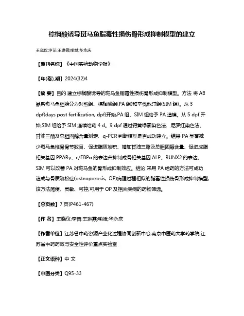 棕榈酸诱导斑马鱼脂毒性损伤骨形成抑制模型的建立