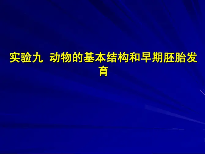 实验九 动物的基本结构和早期胚胎发 育