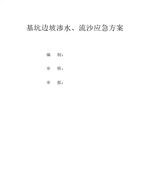 基坑边坡渗水流沙处理方案