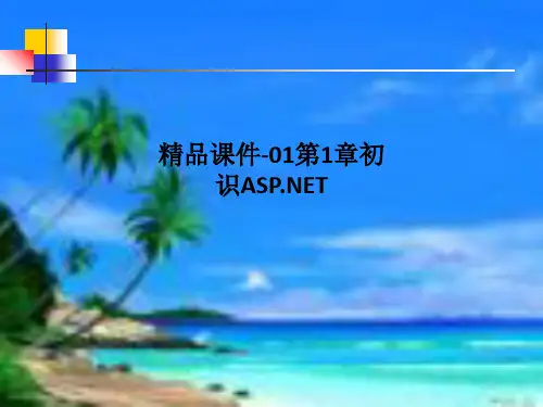 精品课件-01第1章初识ASP.NETPPT课件