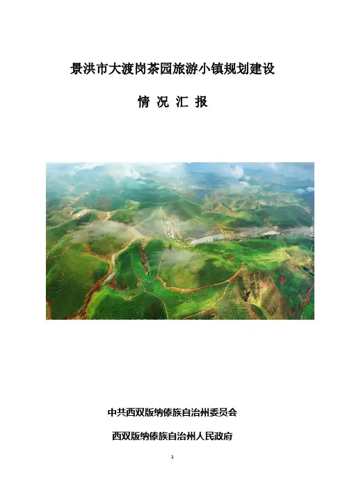 景洪市大渡岗茶园旅游小镇规划建设
