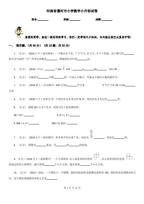 河南省漯河市小学数学小升初试卷