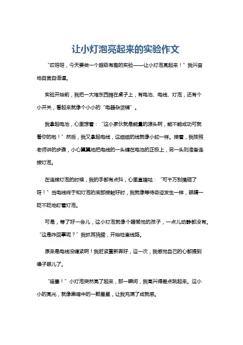 让小灯泡亮起来的实验作文