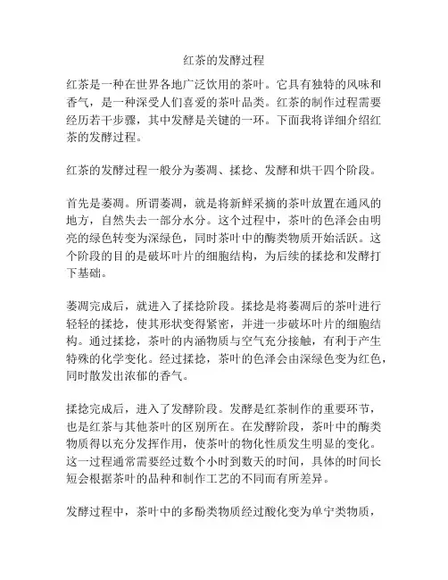红茶的发酵过程