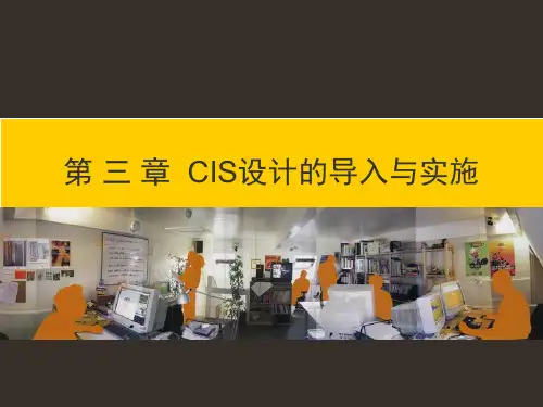 4 第三章 CIS的导入与实施