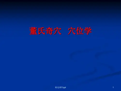 董氏奇穴 穴位学ppt课件