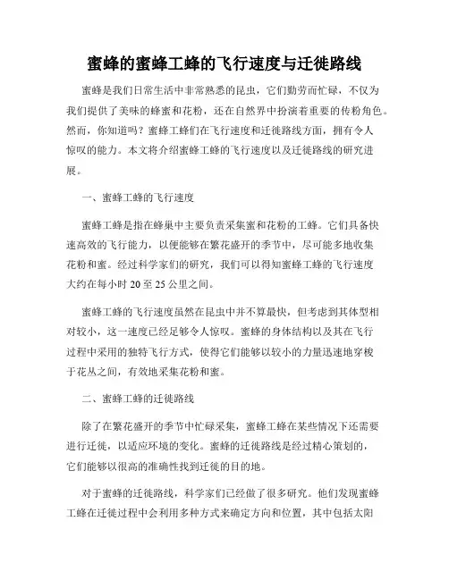 蜜蜂的蜜蜂工蜂的飞行速度与迁徙路线