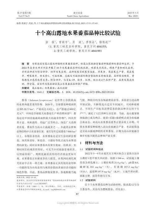 十个高山露地水果番茄品种比较试验