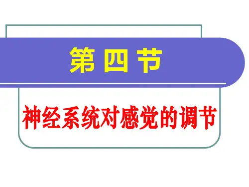 人体生理学课件-神经系统 感觉 躯体运动