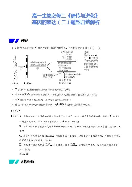 高一生物必修二《遗传与进化》基因的表达(二)题型归纳解析