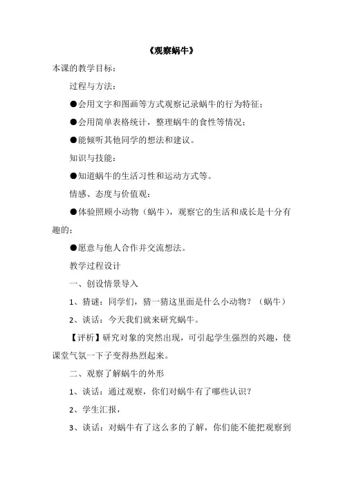 二年级科学   4、观察蜗牛