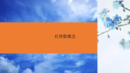 有理数概念