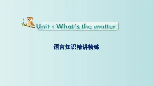 Unit 1 语言知识精讲精练 课件 2022-2023学年人教版英语八年级下册 