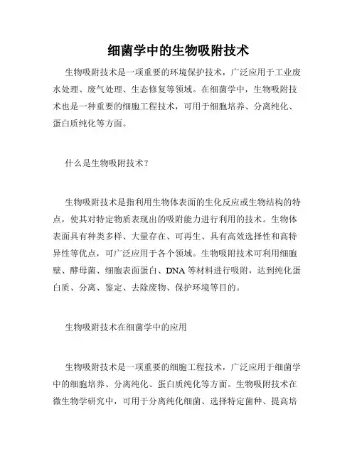 细菌学中的生物吸附技术