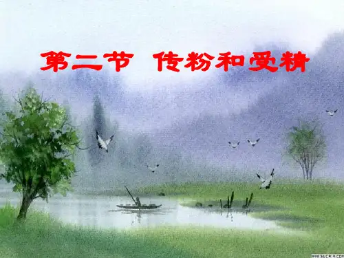 传粉和受精