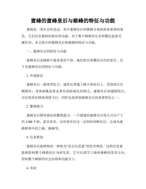 蜜蜂的蜜蜂皇后与雄蜂的特征与功能