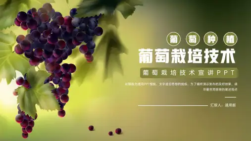 简洁葡萄栽培种植技术宣讲通用PPT模板