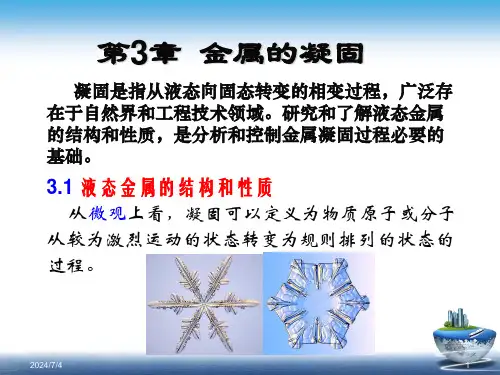 材料成型原理 金属的凝固