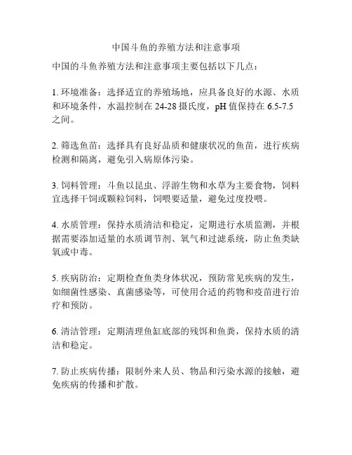 中国斗鱼的养殖方法和注意事项