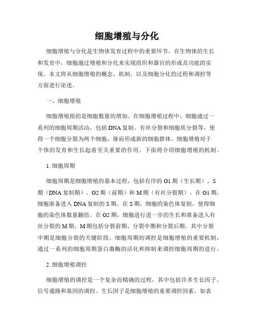 细胞增殖与分化