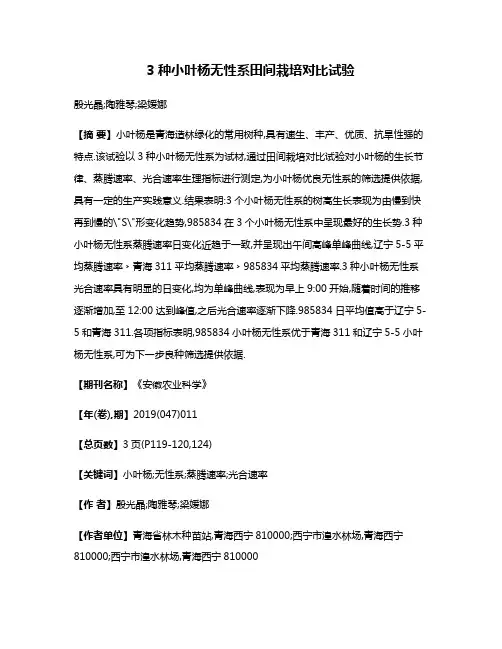 3种小叶杨无性系田间栽培对比试验