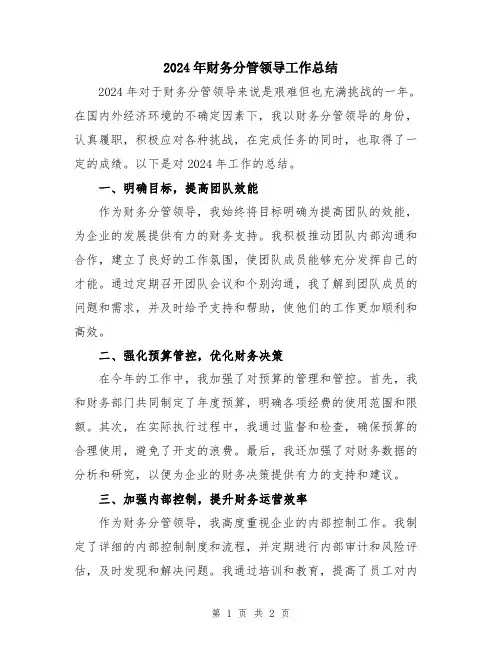 2024年财务分管领导工作总结