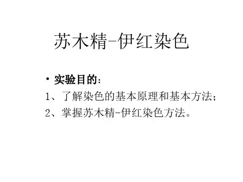 苏木精-伊红染色