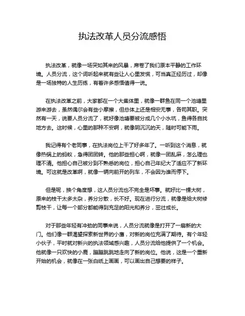 执法改革人员分流感悟
