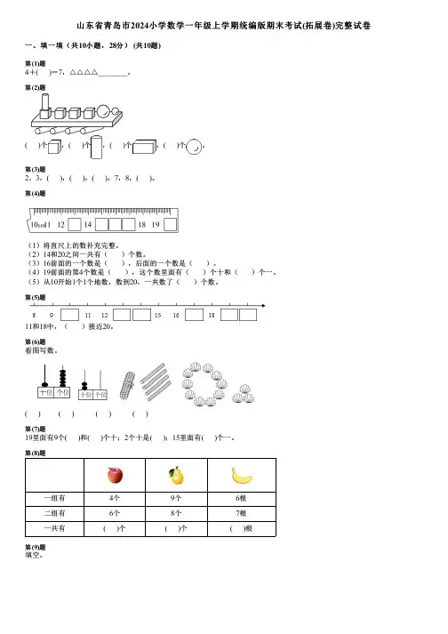 山东省青岛市2024小学数学一年级上学期统编版期末考试(拓展卷)完整试卷
