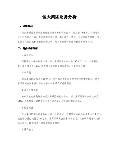 恒大集团财务分析