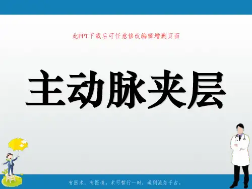主动脉夹层PPT课件