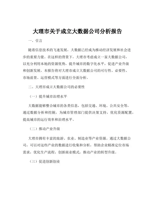 大理市关于成立大数据公司分析报告