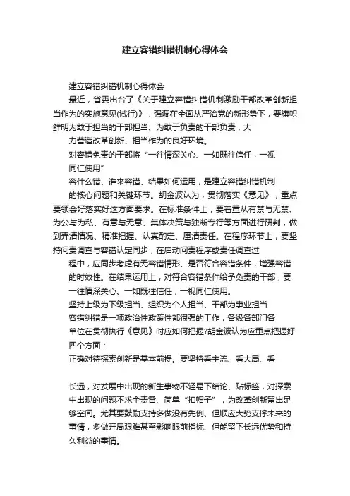 建立容错纠错机制心得体会