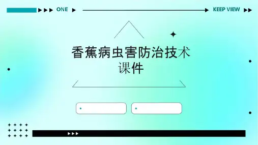 香蕉病虫害防治技术课件