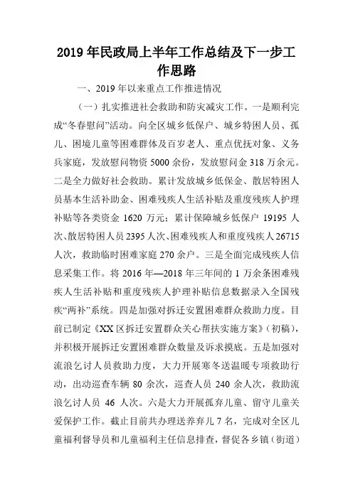 2019年民政局上半年工作总结及下一步工作思路.doc